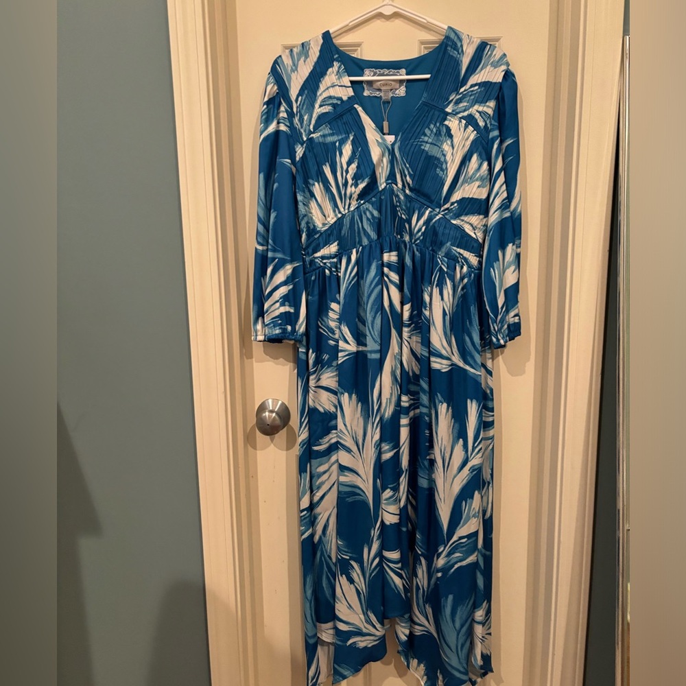 NWT Blue and White Cupio Dress